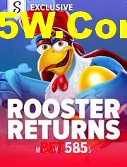 Sports Statistics Bet585